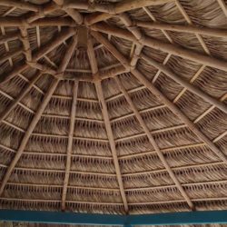 Palapas Repair